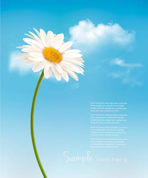 Belle marguerite blanche devant le ciel bleu. Vecteur . — Image vectorielle