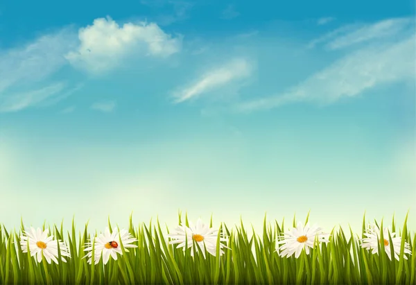 Spring nature background with green grass and sky. Vector. — Stock Vector