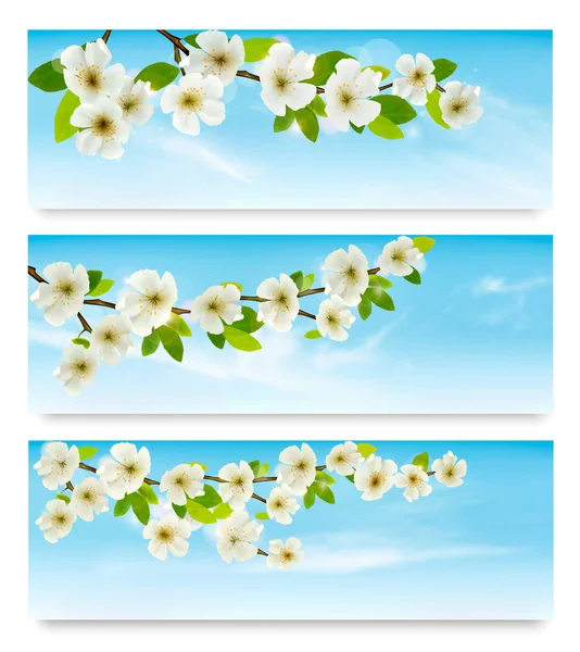 Three nature banners with blossoming tree brunch and blue sky. V — Stock Vector