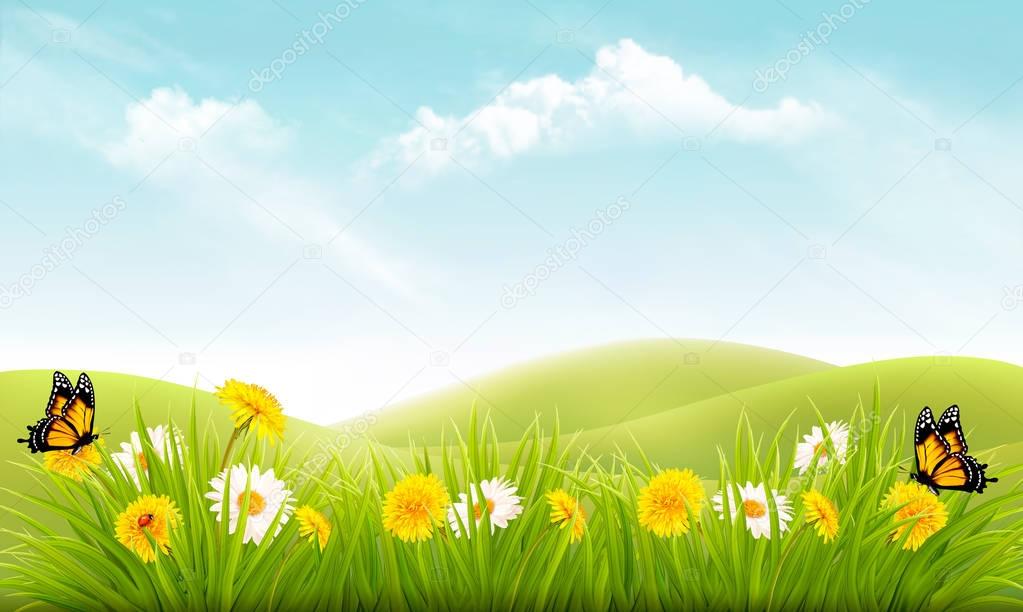 Nature background with grass and flowers and butterflies. Vector