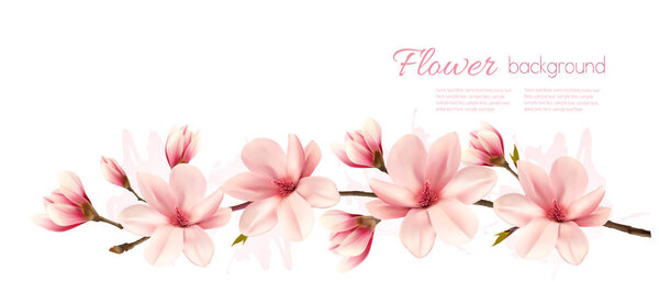 Nature spring background with beautiful magnolia branches. Vector.