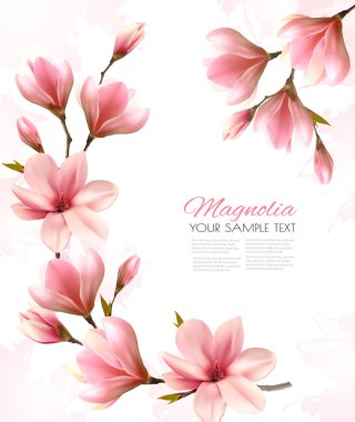 Abstract spring background with beautiful magnolia branches. Vec clipart