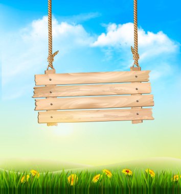 Bahar doğa ve arka plan yeşil çim ahşap işareti. Vecto