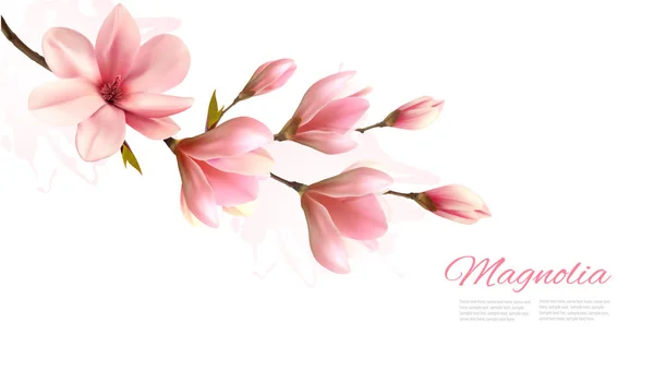 Nature background with blossom branch of pink magnolia. Vector — Stock Vector