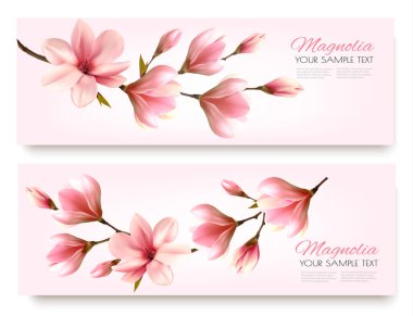 Doğa bahar afiş güzel Manolya dalları ile. Vektör.