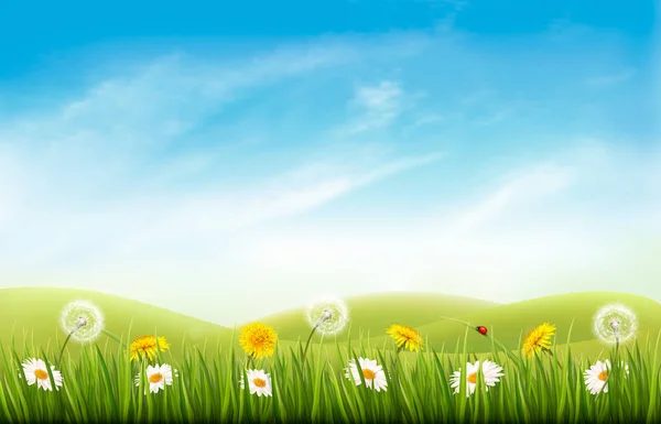 Nature background with grass and flowers and butterflies. Vector — Stock Vector