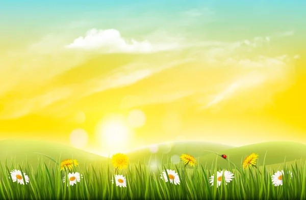 Spring nature background with grass and flowers. Vector. — Stock Vector