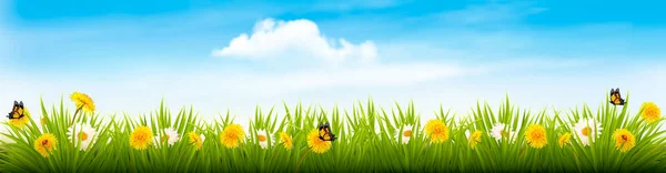 Banner paisagem natureza primavera com flores e borboletas. Vec —  Vetores de Stock