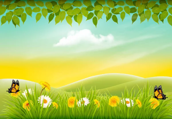 Primavera naturaleza paisaje fondo con flores y mariposas . — Vector de stock