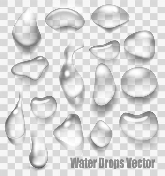 Drops of water on a transparent background. Vector.