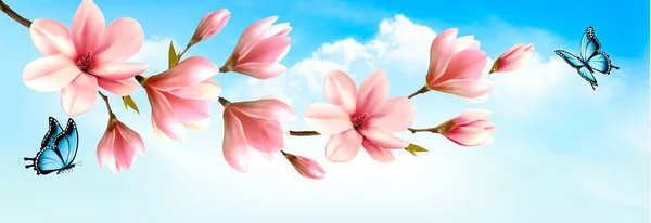 Naturaleza primavera fondo con hermosas ramas magnolia y bu — Vector de stock