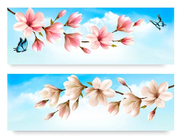 Two Nature banners with blossom branch of pink and white magnoli — Stock Vector