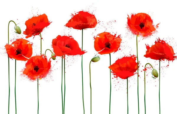 Abstract beautiful background with red poppies flowers. Vector. — Stock Vector