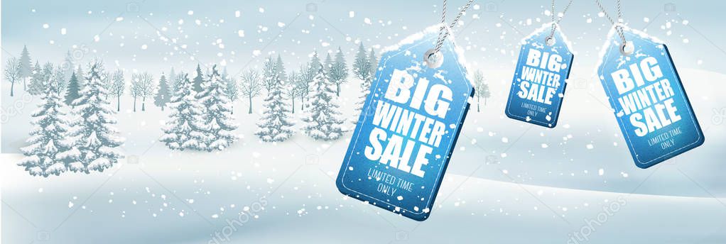 Winter Sale Background with winter landscape and forest. Vector