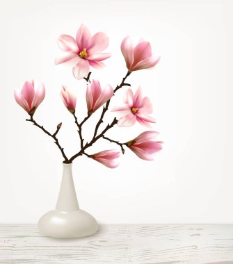 Branches of Pink Magnolia in Vase. Vector illustration