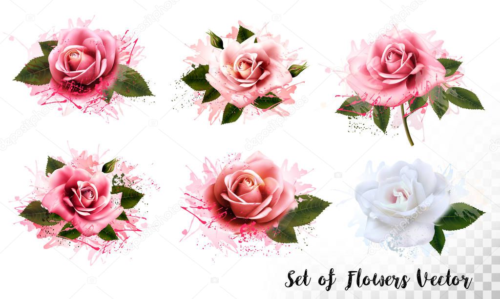 Set of colorfuf abstract flowers. Vector