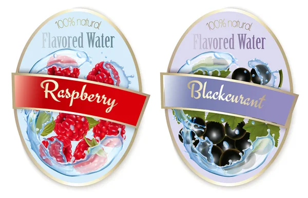 Set of labels with fruit and berries flavored water. Raspberry a — 스톡 벡터