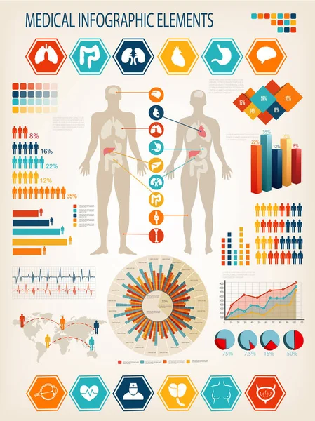 带有图表和其他元素的医疗信息集 有内脏的人体 — 图库矢量图片