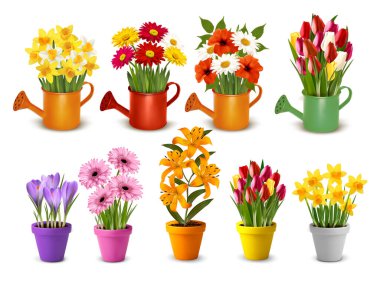 Mega collection of spring and summer colorful flowers in pots  and watering cans. Vector clipart