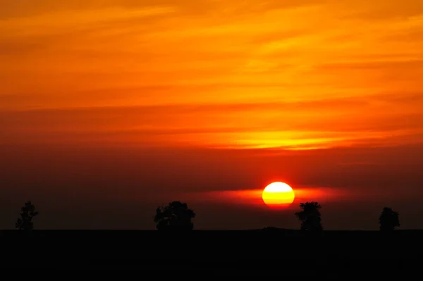 Landschap, zonnige dageraad in een veld — Stockfoto