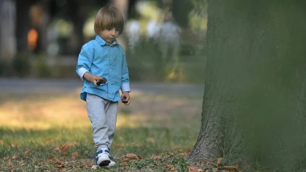 Kaukasischer kleiner Junge an einem Sommertag im Freien — Stockfoto