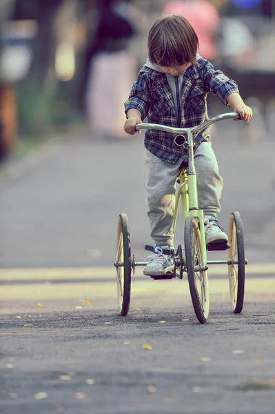 Menino feliz com bicicleta no parque de outono — Fotografia de Stock