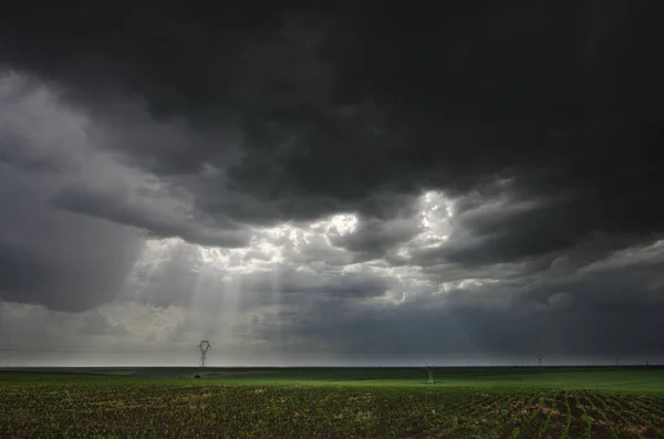 Campo di grano verde e nubi di tempesta — Foto Stock