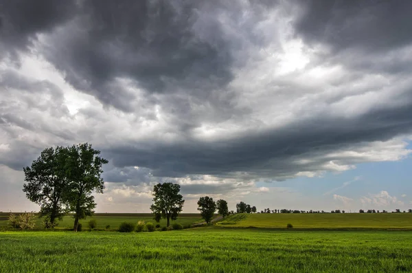 Groene tarweveld en storm wolken — Stockfoto