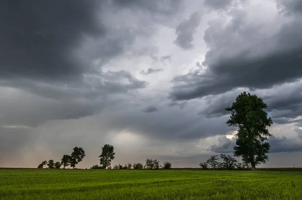 Zelená pšeničná pole a bouřkové mraky — Stock fotografie