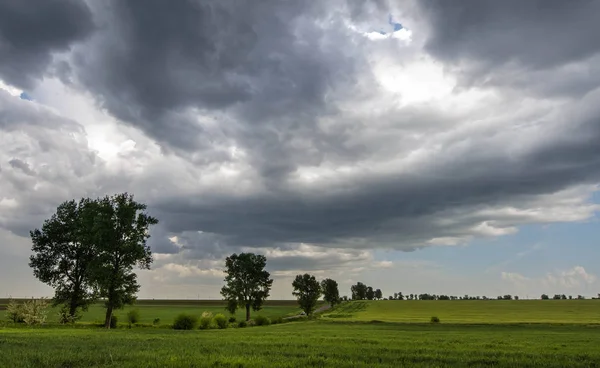 Zelená pšeničná pole a bouřkové mraky — Stock fotografie