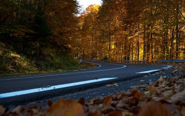 sonbahar manzara ve boş yol
