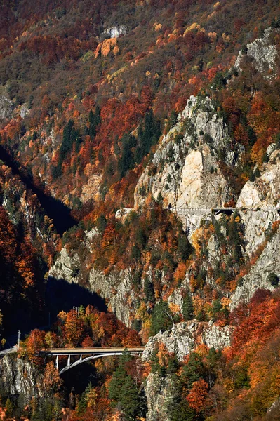 산악 지역의 가을 풍경 — 스톡 사진