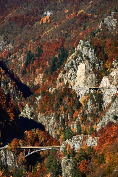 Осенний пейзаж в горах — стоковое фото