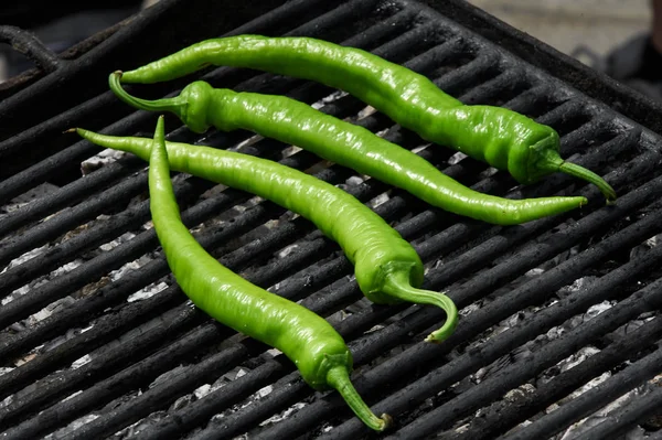 Fresh an healthy vegetables on grill — Stock Photo, Image