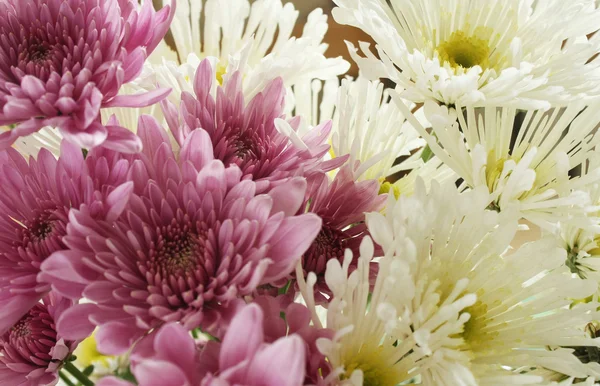 Herfst chrysant boeket — Stockfoto