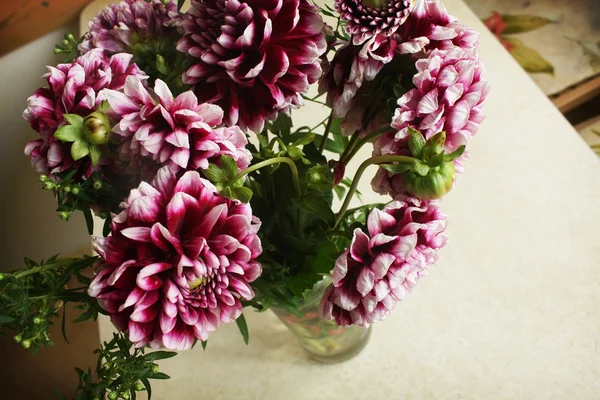 Bouquet de chrysanthème d'automne — Photo