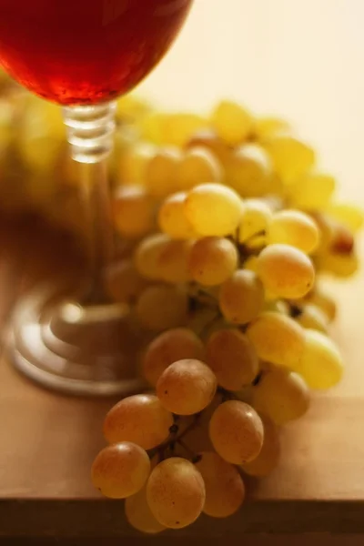 Grape branch and wine goblet — Stock Photo, Image