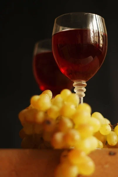 Gałąź winorośli i wina czara — Zdjęcie stockowe