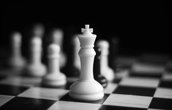 Black White Chess Set — Stock Photo, Image