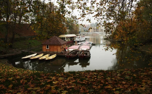 Krásný Podzimní Park Wroclaw Polsko — Stock fotografie