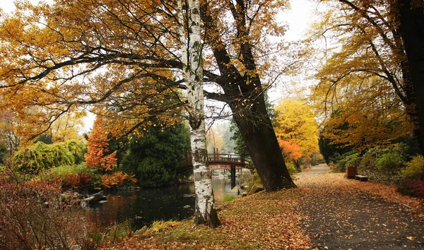 Mooie Herfst Park Wroclaw Polen — Stockfoto