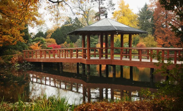 Mooie Herfst Park Wroclaw Polen — Stockfoto