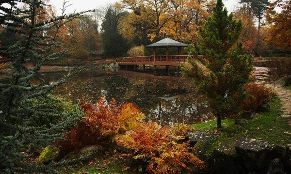 Wunderschöner Herbstpark Breslau Polen — Stockfoto