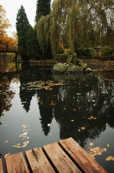 Mooie Herfst Park Wroclaw Polen — Stockfoto