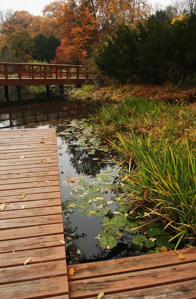 波兰弗罗茨瓦夫美丽的秋季公园 — 图库照片