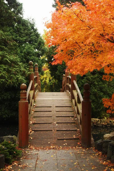 Mooie Herfst Park Wroclaw Polen Stockafbeelding