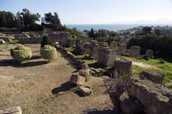 Oude ruïnes in punische Byrsa in Carthago oude site — Stockfoto