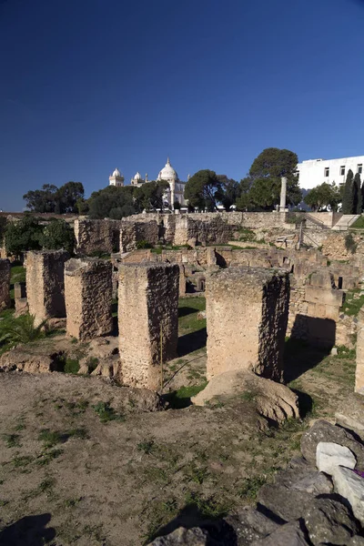 Oude ruïnes in punische Byrsa in Carthago oude site — Stockfoto