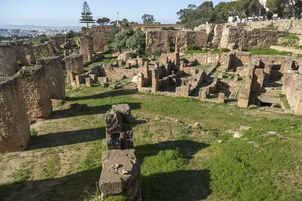 Oude ruïnes in punische Byrsa in Carthago oude site — Stockfoto