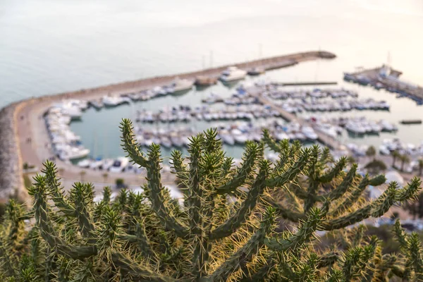 Vista nocturna en el puerto de Sidi Bou Said, famosa ciudad turística cerca de Túnez — Foto de Stock